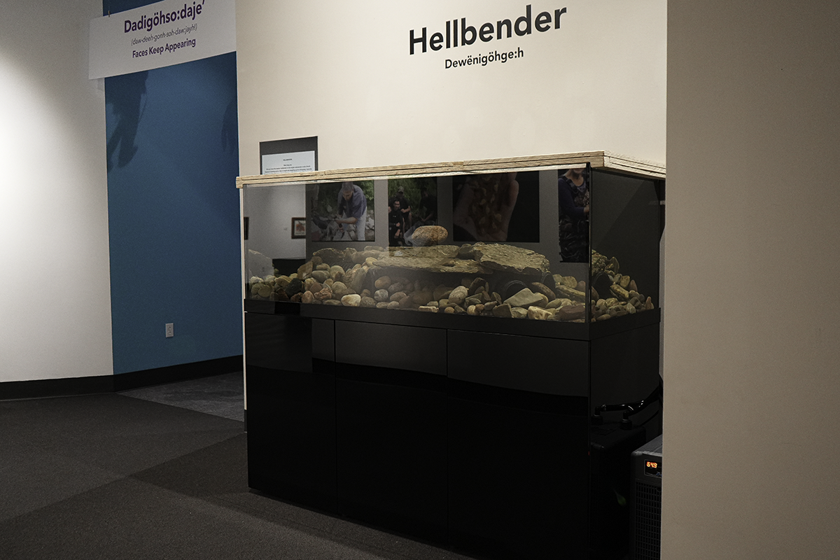 Perspective shot of 'entering the Hellbender exhibit'. The exhibit has a large aquarium with rocks. Over the aquarium there is black vinyl wall stickers with the text ''Hellbender' and "Dewënigöhge:h" beneath.